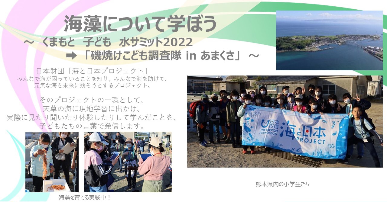 海藻について学ぼう ～くまもと 子ども 水サミット2022 →「磯焼けこども調査隊 in あまくさ」～